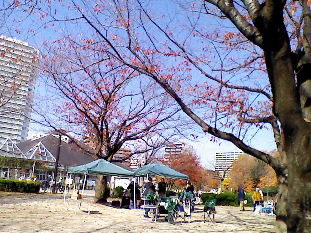 木場公園BBQレンタル