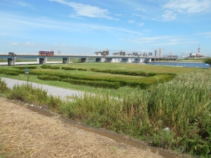 江戸川河川敷緑地でバーベキュー｜行徳橋河川敷BBQエリア1