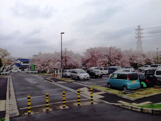 公園の駐車場です