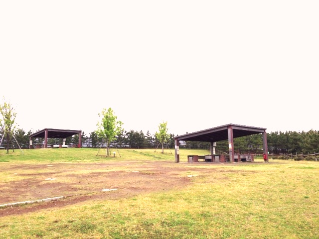 バーベキュー広場全景