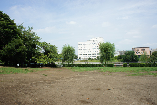 新木場公園バーベキュー広場の風景