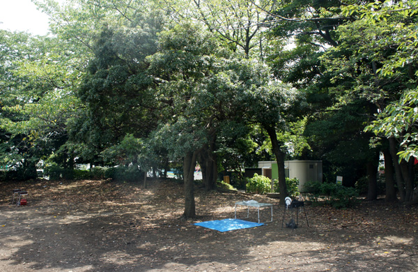 新木場公園バーベキュー広場の風景