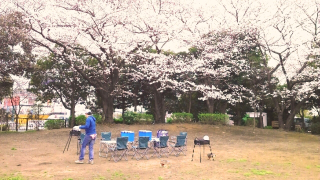 桜の季節の新木場です