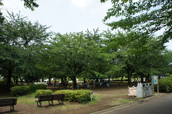 木場公園の風景