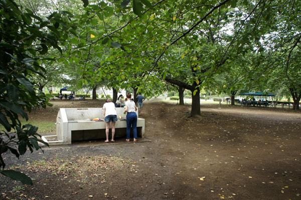 木場公園の風景