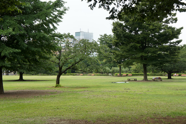 木場公園の風景