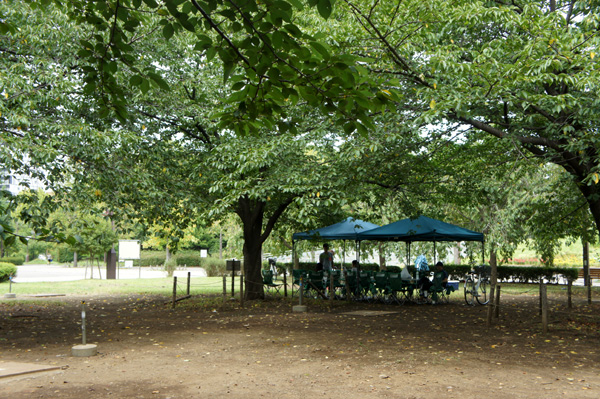 木場公園の風景