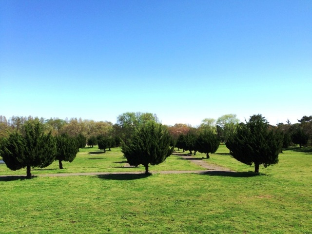 秋ヶ瀬公園BBQ場