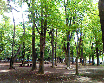 光が丘公園BBQ場