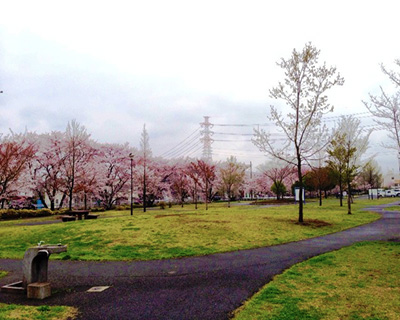 稲城北緑地公園BBQ場