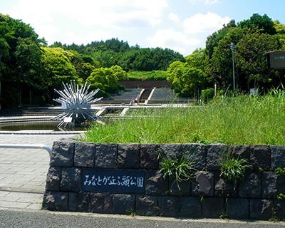 みなとが丘ふ頭公園BBQ場