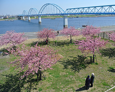 妙典BBQ場・千葉県市川市