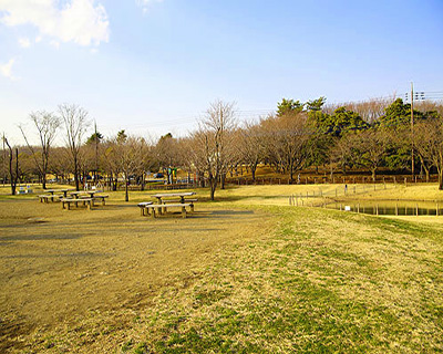 大泉さくら運動公園BBQ場