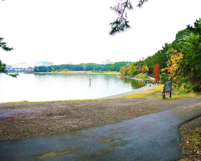 大井ふ頭海浜公園BBQ場・東京都品川区