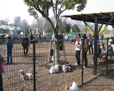 辰巳の森海浜公園BBQとドッグラン