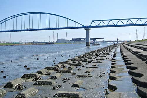 江戸川妙典河川敷BBQ場の河川敷風景2