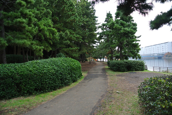 大井埠頭公園なぎさの森BBQ場