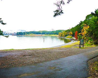 バーベキュー場-大井ふ頭中央海浜公園